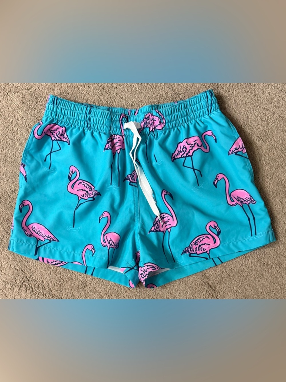 Chubbies Beach Retreat Flamingo Swim Trunks SZ Small